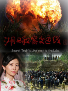 乱中年女人伦av